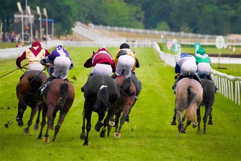 andrew mount|Racing Tips: Andrew Mount’s Tuesday Picks – August 20th.